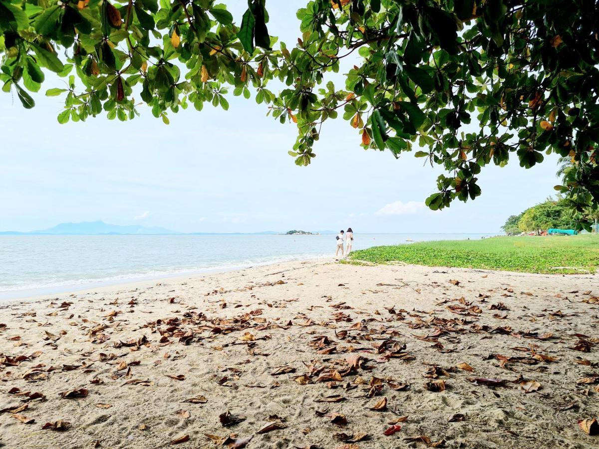 527 Beachhouse L 5 Bedroom With Swimming Pool - 3Min Walk To The Beach Tanjung Bungah  Eksteriør billede