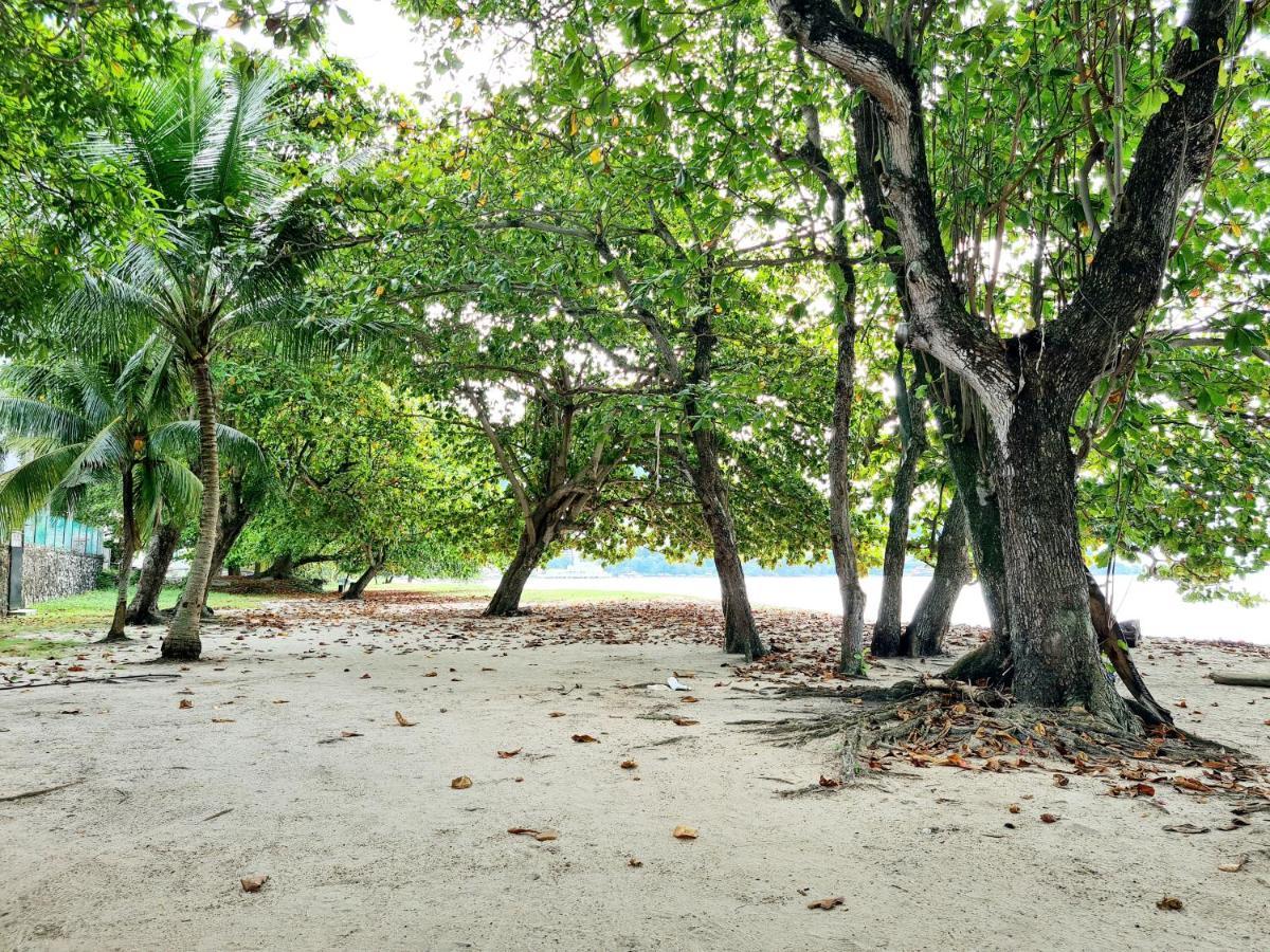 527 Beachhouse L 5 Bedroom With Swimming Pool - 3Min Walk To The Beach Tanjung Bungah  Eksteriør billede